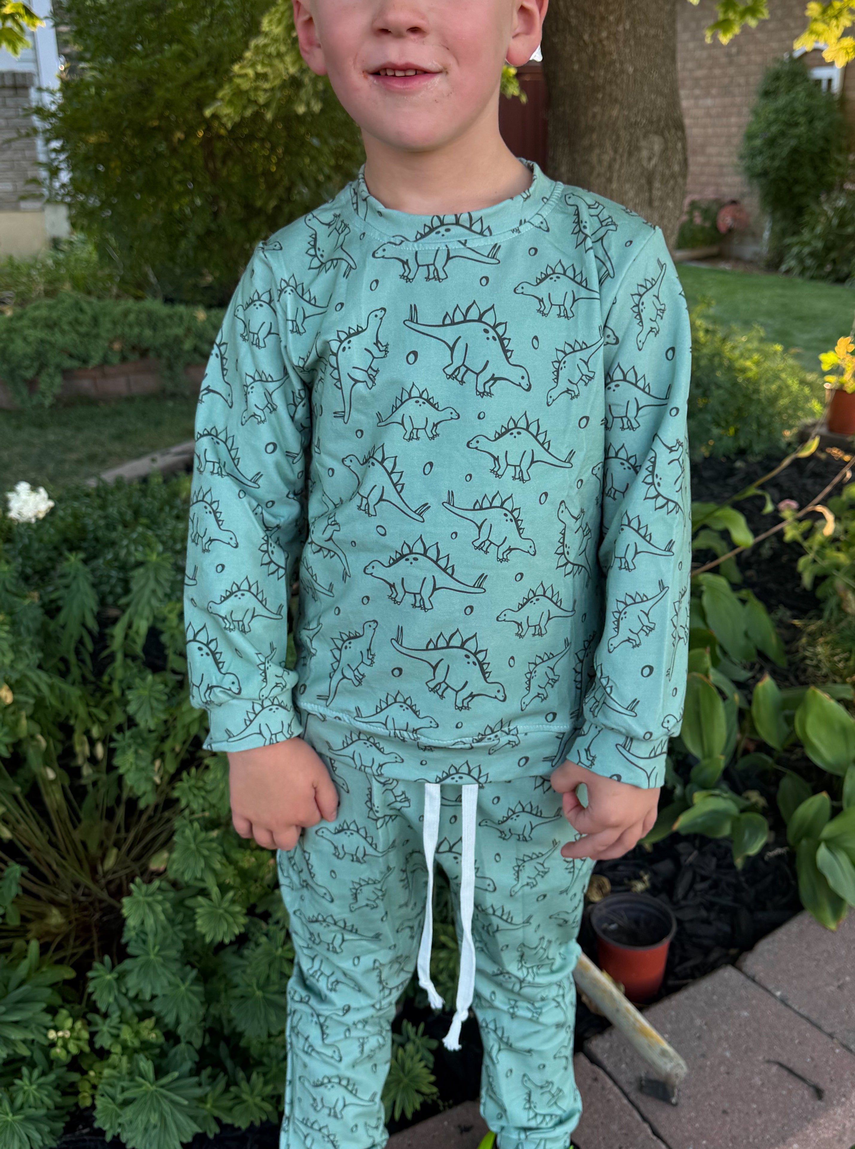 Green Dino’s Set
